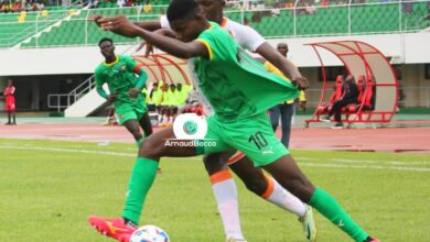 Foot/UFOA-B : Match nul entre le Togo et le Niger (2-2)